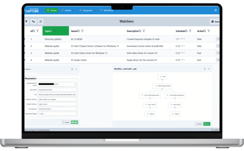 Access Capture Publishing screenshot - Access IT USA